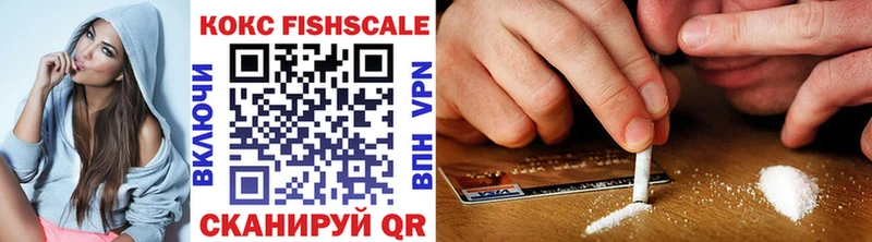 Кокаин Fish Scale  продажа наркотиков  Новотитаровская 