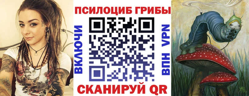 Галлюциногенные грибы мицелий кракен сайт Новотитаровская как найти наркотики