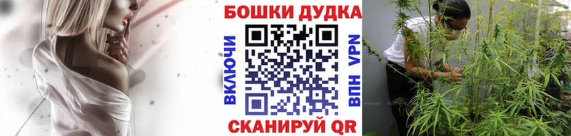 MEGA маркетплейс  Новотитаровская  Марихуана индика  цены  